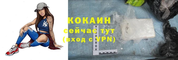 прущий лед Анива